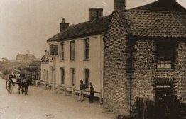 HAPPISBURGH - SWAN : Image supplied by KC