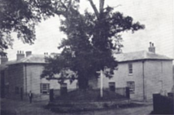 The oak tree with THE OAK INN behind