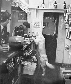 c1965 - By father of Roderick Shelton.