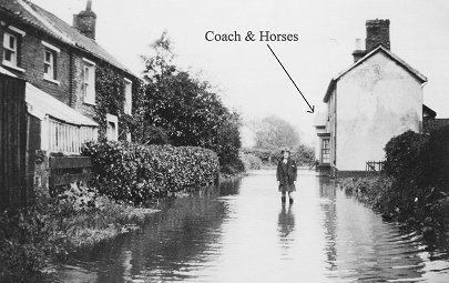 The only image held by the PHCollection.