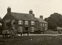 Ringland Swan c1912