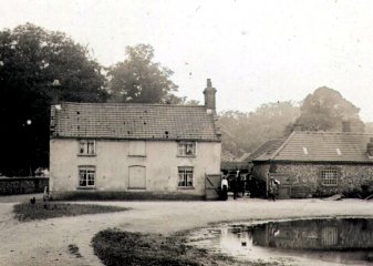 The Ostrich - Weasenham c1910