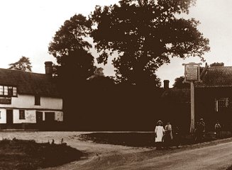 The Old Oak - c1910